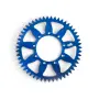 CORONE E PIGNONI VERTEX